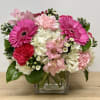 Pink gerberas and carnations in a clear glass vase
