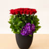 A modern spin on classic red roses. 2 dozen long stem red
