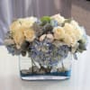 Cream roses and blue hydrangeas arranged in a clear glass vase