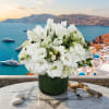 White floral arrangement in a dark green vase on a marble table