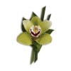 Green orchid boutonniere with a white and burgundy center