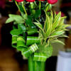 Red roses arranged in a tall glass vase with curled green leaves