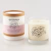 Two September birth flower candles, one in a box and one in a glass jar