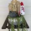Succulent arrangement with a snowman and wooden house decorations