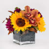 Sunflowers, oakleaves, dark orchids, occasionally some fruits or pumpkins, wheat grasses
