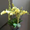 Yellow orchids arranged in a dark bowl with moss-covered branches and a succulent