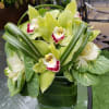 Green orchid arrangement in a dark glass vase