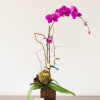 Magenta orchid arrangement in a square glass vase with decorative branches and bird accents