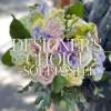 Pastel hand-tied bouquet with pale pink roses, white and green hydrangeas, and soft lavender blooms