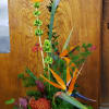Tall tropical arrangement with bird of paradise and protea in a vase