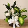 Garden of Angels combines a beautiful angel keepsake with lush green plants