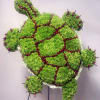 Turtle-shaped floral arrangement made of green blooms with red berry accents