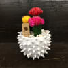 Three colorful grafted cacti in a spiky white pot