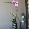 Pink orchid arrangement in a metallic vase with bamboo supports