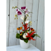 Tall orchid arrangement in a white pot with red berries and small pumpkins