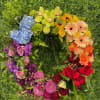 Rainbow floral wreath with roses, hydrangeas, and gerbera daisies