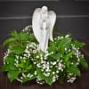 White angel figurine surrounded by baby's breath and green foliage