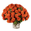 Large arrangement of clustered orange roses in a clear glass cylinder vase