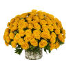 Large dome of yellow roses arranged tightly in a clear glass cylinder vase