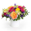Low mixed arrangement of bright roses, orchids, and lisianthus in a white cylinder vase