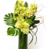 Tall green cymbidium orchid and hydrangea arrangement with large tropical leaves in a glass cylinder vase