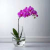 Pink orchid in a clear glass vase with water