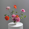 Pink and orange flowers arranged in a white vase