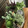 Potted succulent arrangement in a gray container with mixed green and purple plants