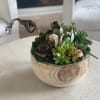 Succulent arrangement in a round wooden bowl with seashell accents