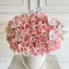 Signature Luxury Suede Box 
Blush pink/ light pink roses 
Pink mini roses