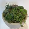 Round succulent arrangement in a gray planter