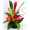Tropical flower arrangement in a black vase with red, orange, and purple blooms