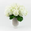 Arrangement of 6 Hydrangea white in a ceramic vase.