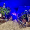 Pair of small glass terrariums with succulents and stones on sand under blue light.