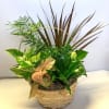 Potted tropical foliage arrangement in a woven basket