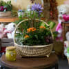 Basket planter with orange flowers and green foliage beside a yellow candle jar