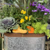 Great for step or outdoor table setting. Seasonal plants accented with gourd