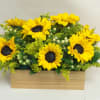 Sunflower arrangement in a rectangular wooden box