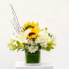 Sunflowers and white lilies in a square glass vase