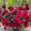 Red rose and dahlia arrangement in a dark vase