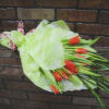Bouquet of orange tulips wrapped in pale green paper
