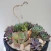 Succulent arrangement in a black bowl planter with white stones