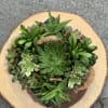 A small succulent arrangement in a dark pot on a wood slice.