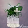 Potted green plant in a white wooden box with a decorative cross and ribbon