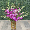 Pink and white orchids arranged in a tall glass vase