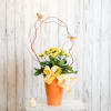 Yellow flowering plant in an orange pot with decorative branches, butterflies, and a chevron bow.
