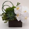 A beautiful arrangement of green dianthus, succulents and white orchids in a