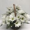 White daisy bouquet in a woven basket with a handle