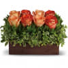 Arrangement of peach and orange roses in a rectangular wooden box