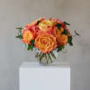 A gorgeous cluster of an amazing rose, Free Spirit. Considered a garden